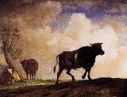 paulus potter The Bull oil painting reproduction
